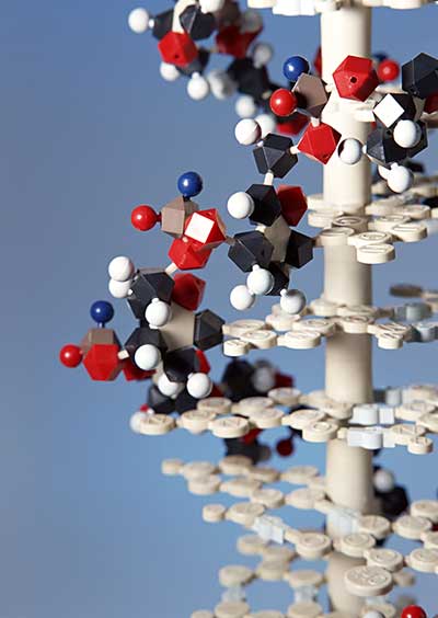 表示させるには、さまざまな研究とデータ資料が必要